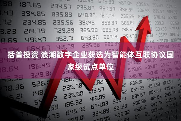 括普投资 浪潮数字企业获选为智能体互联协议国家级试点单位